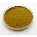 100% Natural Lavender Extract Powder 10: 1